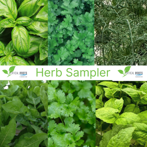 Herb Sampler